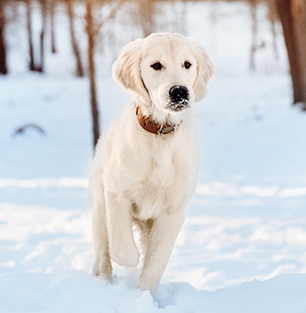 ACGAO-Landing-finannee-2018-img1