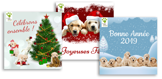 visuels-3-e-cards-sans-perso